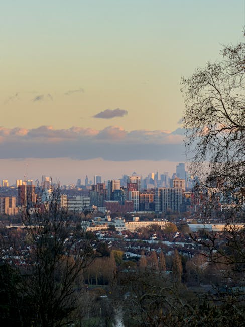 A panoramic view of London’s skyline during late afternoon, with a clear sky overhead. In the foreground, leafless trees with thin branches frame the scene, suggesting it's autumn or winter. Beyond the trees, a mixture of residential houses and low-rise buildings spread across the middle ground, gradually giving way to a dense cluster of modern high-rise office towers and skyscrapers that form the central business district. The cityscape is illuminated by soft, natural light, highlighting the varied architecture and creating subtle shadows. The overall scene depicts a peaceful urban environment, suitable for a local home relocation or furniture transport service, such as those offered by Man with Van West Harrow, in the context of house removals or packing and moving logistics in the Harrow on the Hill area.